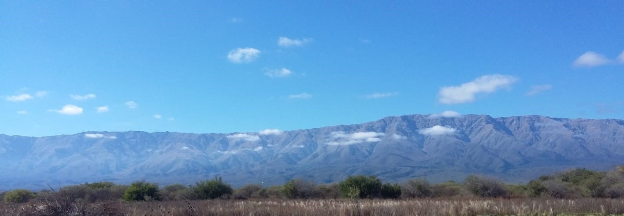 Paisaje de Guanaco Boleado